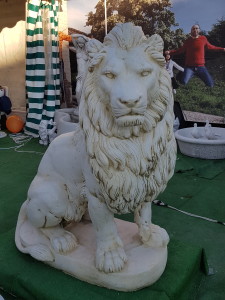 leone africano dx