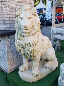 leone africano sx