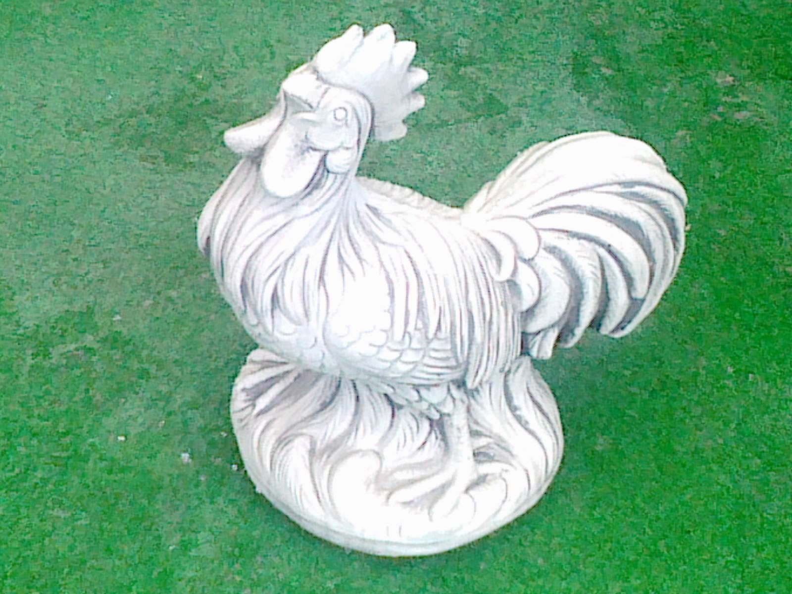 ART. AN-07 GALLO